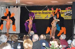 AOBR 2016 02 14 PLAN DE CUQUES - LA SAINT VALENTIN (61)